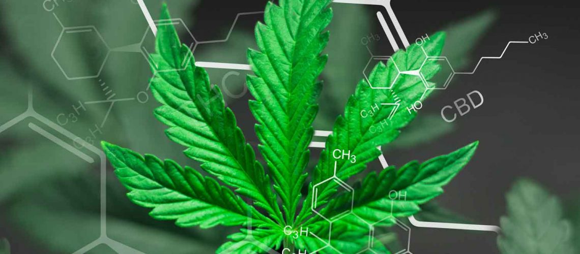 CBN and CBD